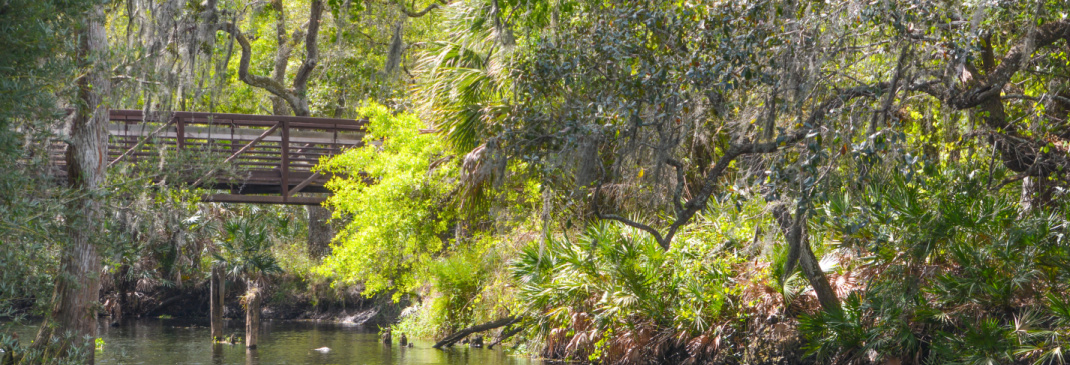 A quick guide to Orlando